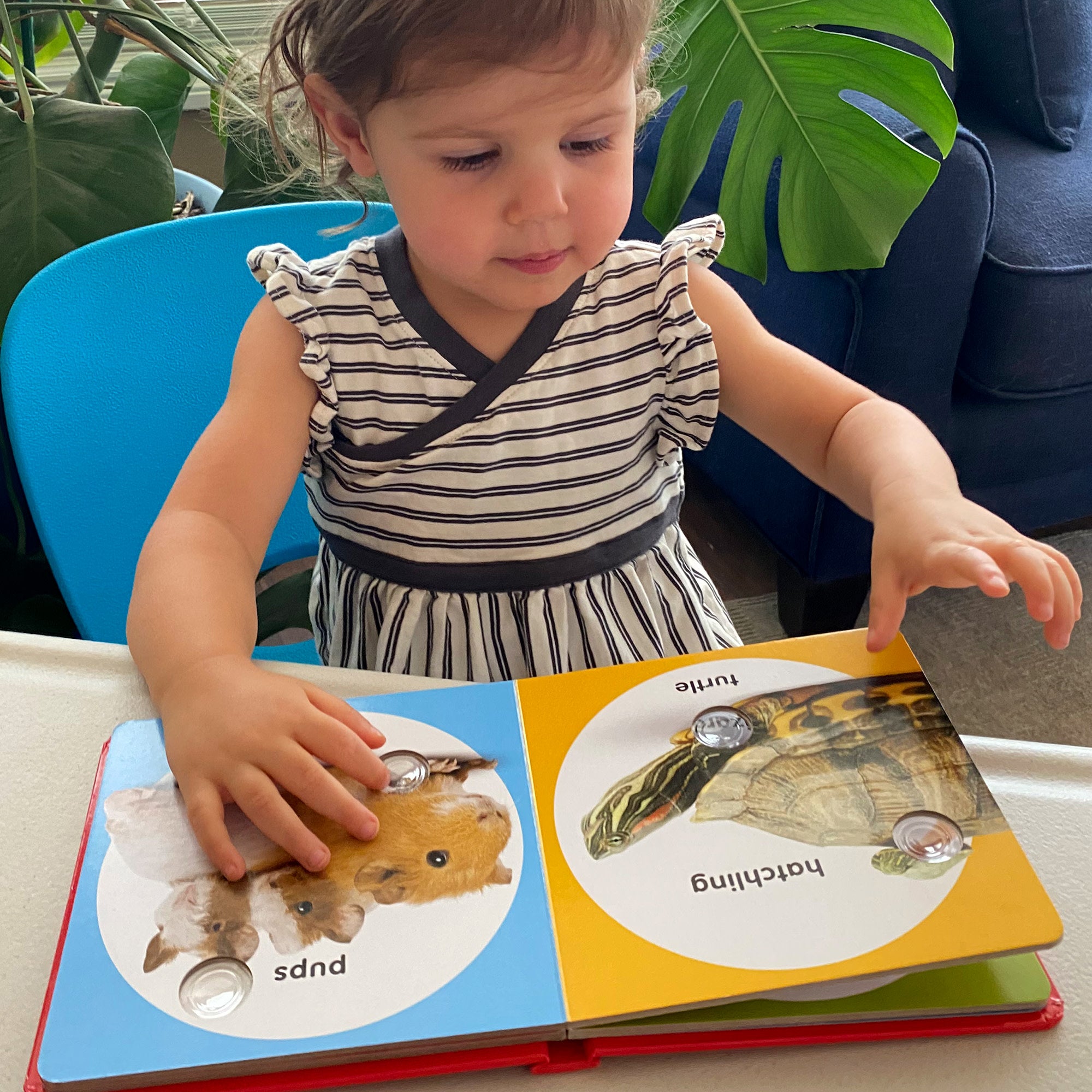 Poke-a-Dot: Pet Families Board Book - Image 2