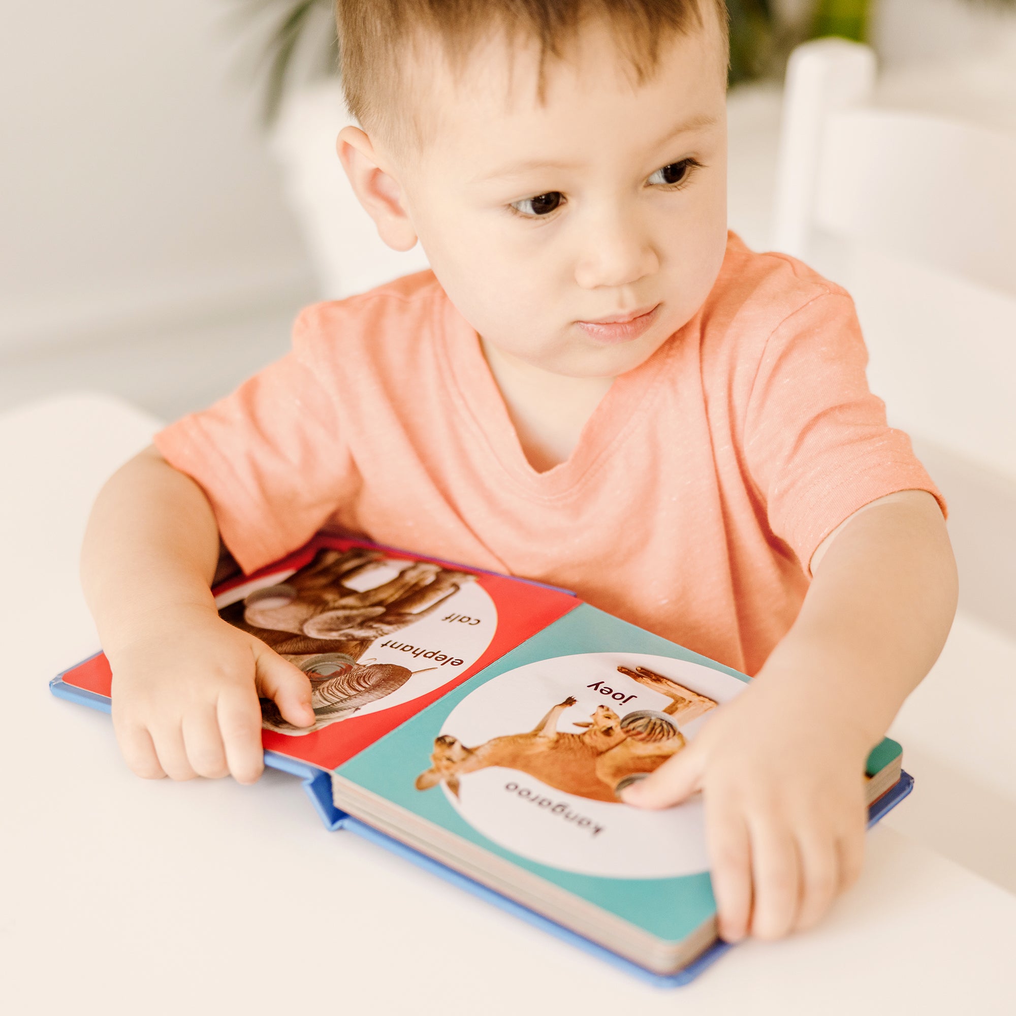 Poke-a-Dot: Wild Animal Families Board Book - Image 10