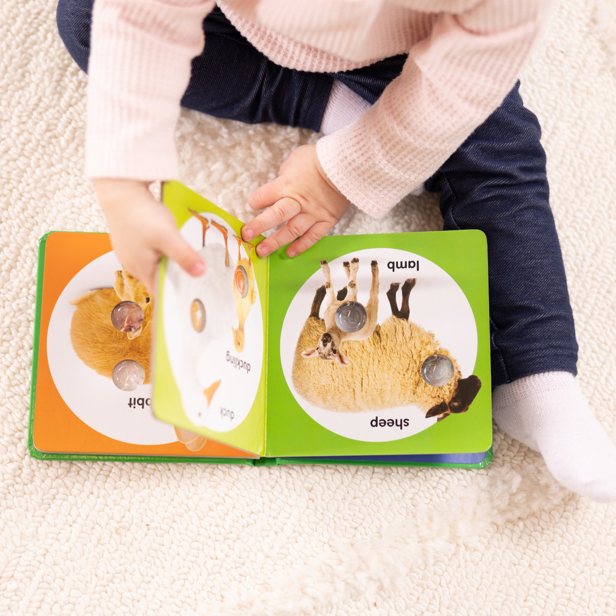 Poke-a-Dot: Farm Animal Families Board Book - Image 7